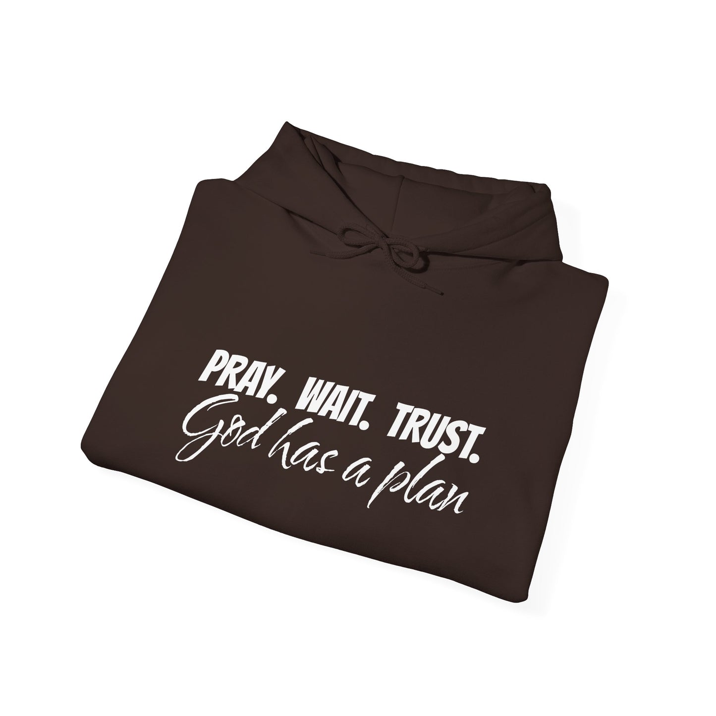"Pray. Wait. Trust. God Has a Plan"-THE FOG BRAND Hooded Sweatshirt -