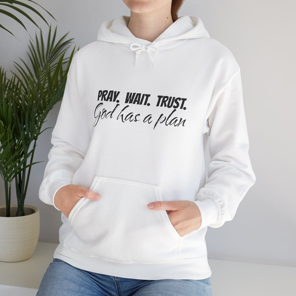 "Pray. Wait. Trust. God Has a Plan"-THE FOG BRAND Hooded Sweatshirt -