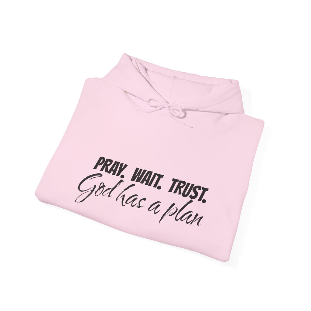 "Pray. Wait. Trust. God Has a Plan"-THE FOG BRAND Hooded Sweatshirt -