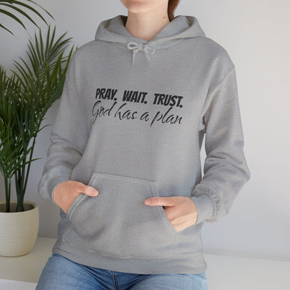 "Pray. Wait. Trust. God Has a Plan"-THE FOG BRAND Hooded Sweatshirt -