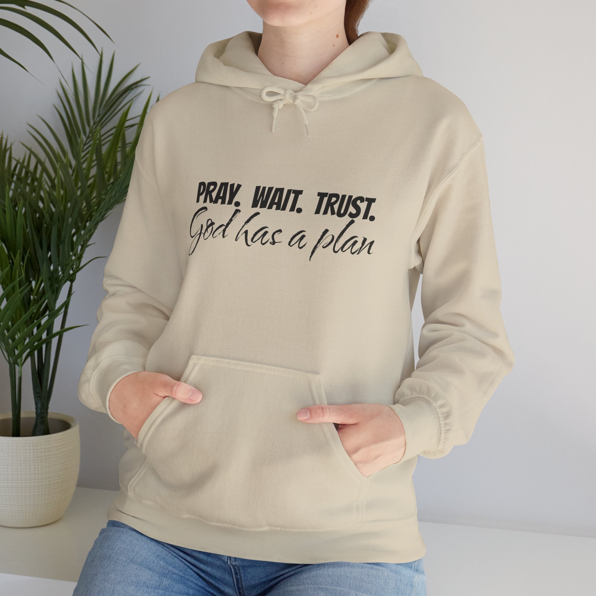 "Pray. Wait. Trust. God Has a Plan"-THE FOG BRAND Hooded Sweatshirt -