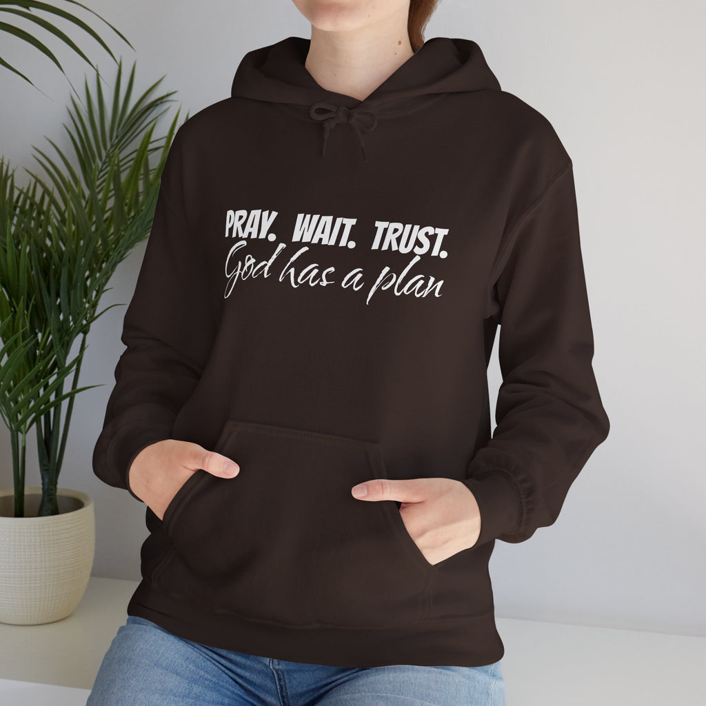 "Pray. Wait. Trust. God Has a Plan"-THE FOG BRAND Hooded Sweatshirt -