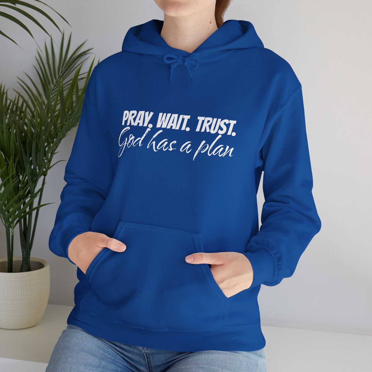 "Pray. Wait. Trust. God Has a Plan"-THE FOG BRAND Hooded Sweatshirt -